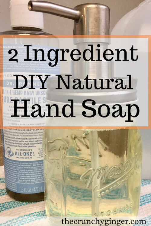 2 Ingredient DIY Natural Hand Soap
