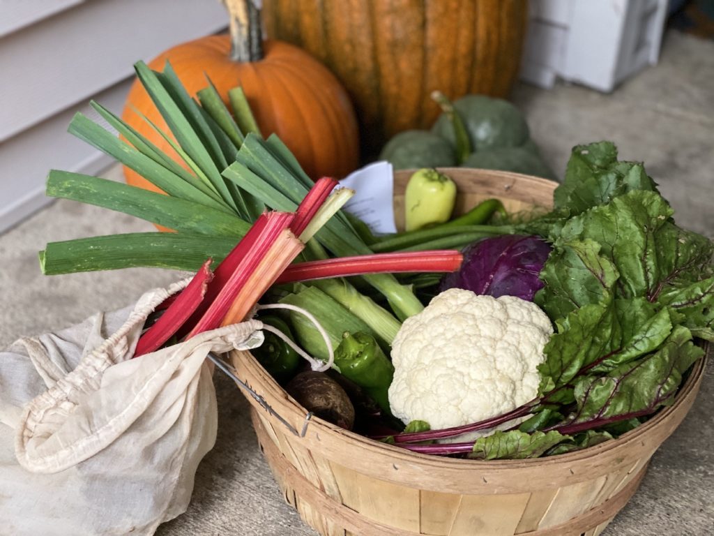 Tips for Using a fall CSA basket