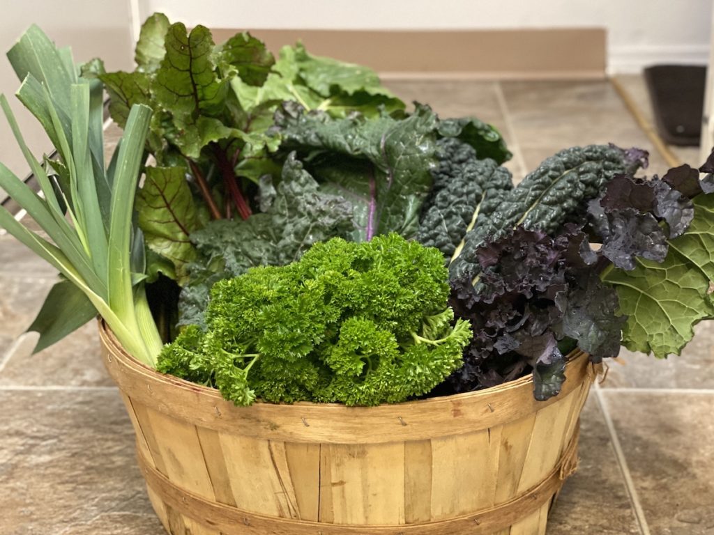 Greens are Greens 5 Tips for Using a Fall CSA Basket