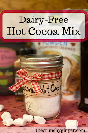 Dairy Free Hot Cocoa Mix for blog