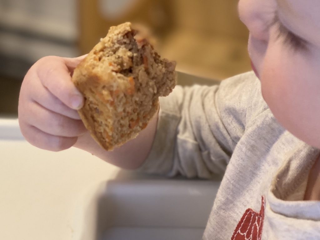 Baby eating muffin